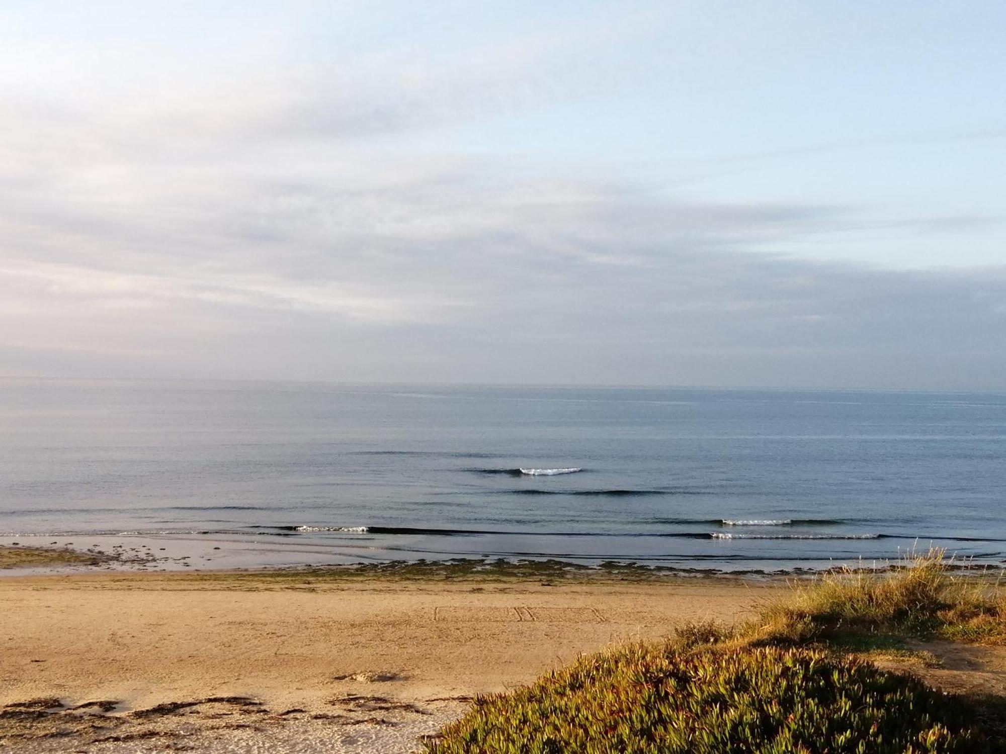 Nalu House Baleal - By The Beach Exterior foto